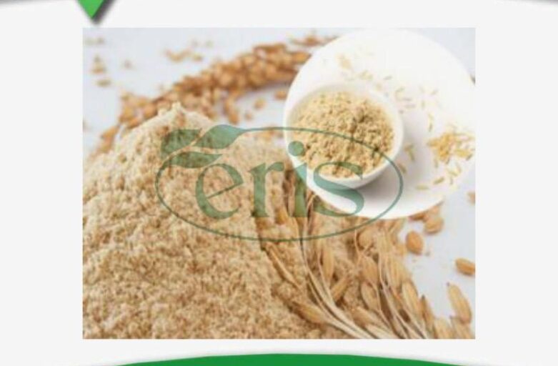 قیمت روز فروش سبوس برنج دامی
