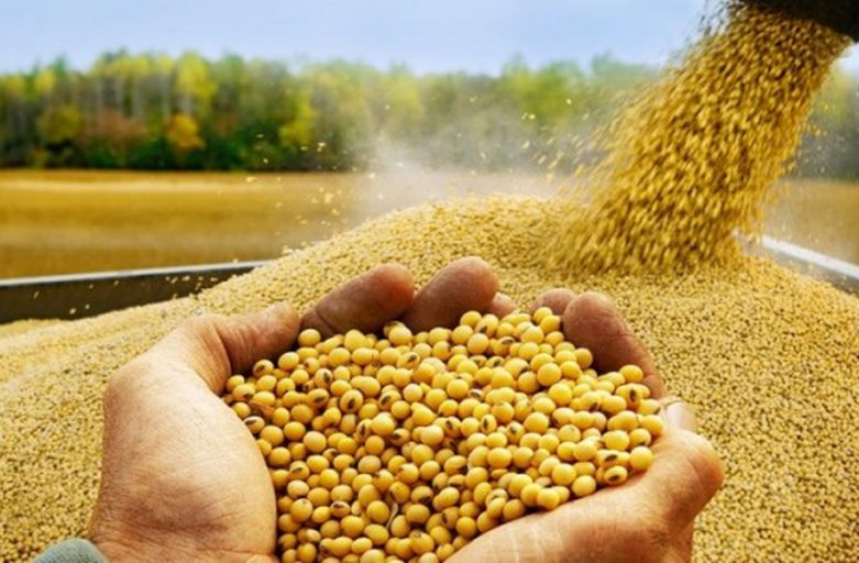 قیمت کنجاله سویا بازار خرید و فروش کنجاله سویا شرکت بازرگانی اریس