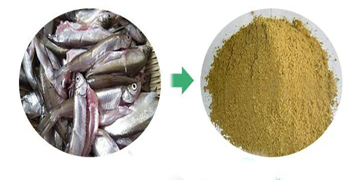روش تولید پودر ماهی
